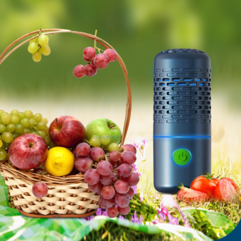 Portable Household Food Purifier Machine - PEAMANS